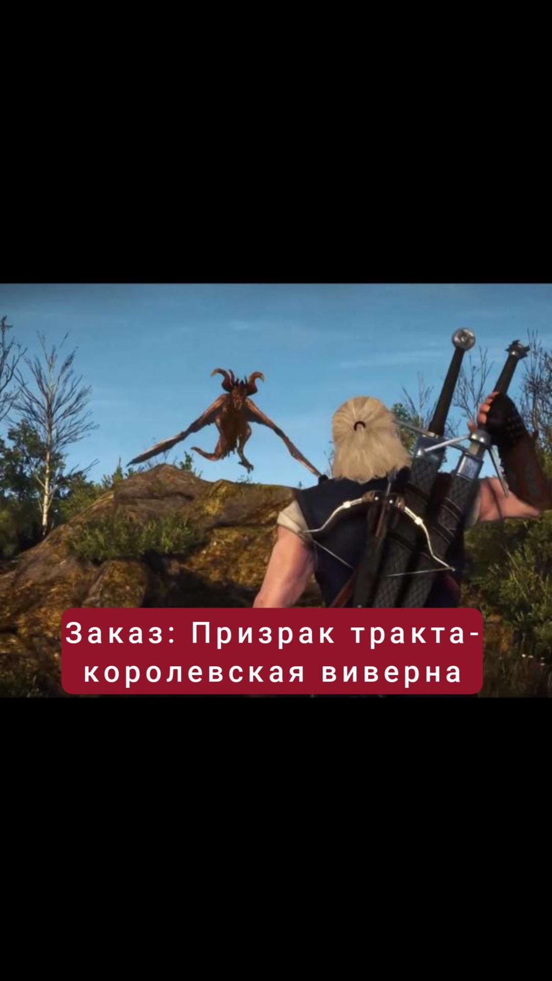 Заказ: Призрак тракта- королевская виверна | #witcher3 #games #rpg