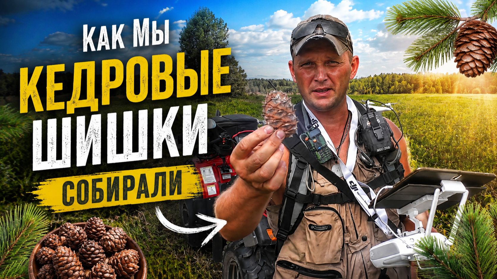 Поехали за КЕДРОВЫМИ ШИШКАМИ: сколько удалось собрать за день смотреть онлайн