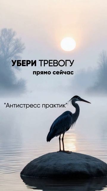 ✅ успокоение нервов от стресса: обрети внутренний покой души смотреть онлайн