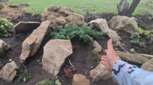 Обзор на клумбу/альпинарий. Какие растения подойдут для альпийской горки, почвопокровные в саду