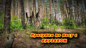 Копаю в лесу с крузаком.