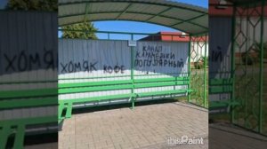 Очень много счастливых хомяков