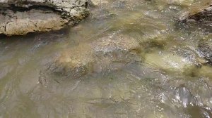 Слушаем ПРИРОДУ / ВОДА