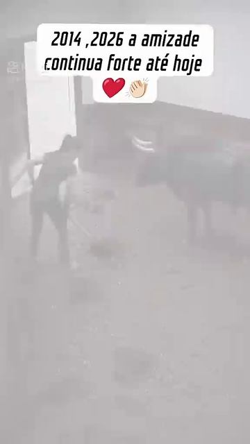 Приятно смотреть.