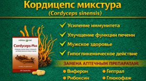Кордицепс плюс микстура (Cordyceps Plus Compound) капсулы