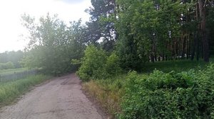 ДОЛ ПЕТРА ИЛЬИЧЕВА ЛЮБИНСКИЙ РАЙОН ОМСКАЯ ОБЛАСТЬ.ЖИЗНЬ В ЛАГЕРЕ ПРИРОДА