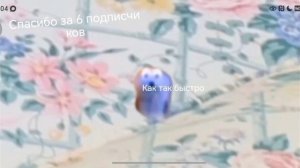Спасибо за 6 подписчиков
