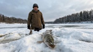 Рыбалка в мороз: Неожиданный трофей и полный фитиль рыбы