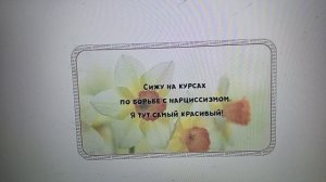 Домосед Домодед  Уютник - три в одном . и розовом  поросеночке