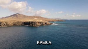 Истории из жизни | Аудио рассказы | Аудиокниги слушать онлайн | Жизненные истории