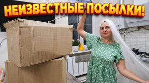 НЕИЗВЕСТНЫЕ ПОСЫЛКИ! МНОГО НУЖНЫХ ВЕЩЕЙ И СМЕХА! Из города в деревню 927 серия