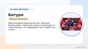 Фамилия Батуро: происхождение, значение и склонение