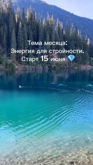 🧧 Комплекс Тайчи: когда тело меняется без борьбы 🌿