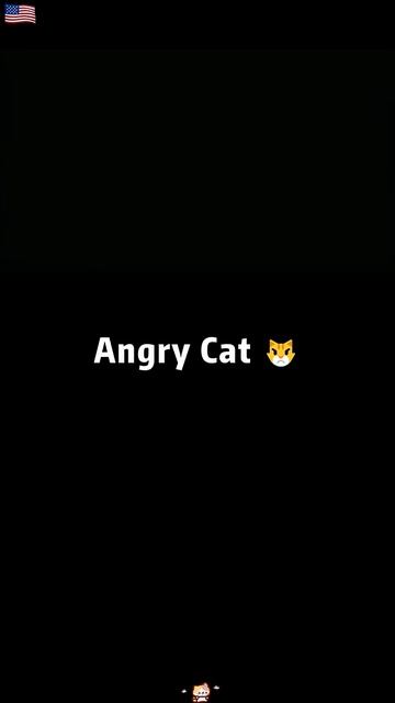 Angry Cats 🐈