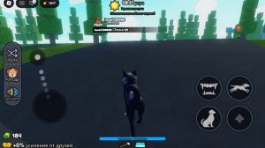 1000001367.mp4