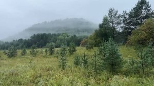 РЫБАЛКА В ТАЙГЕ