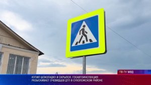 Госавтоинспекция разыскивает очевидцев ДТП в Сухоложском районе