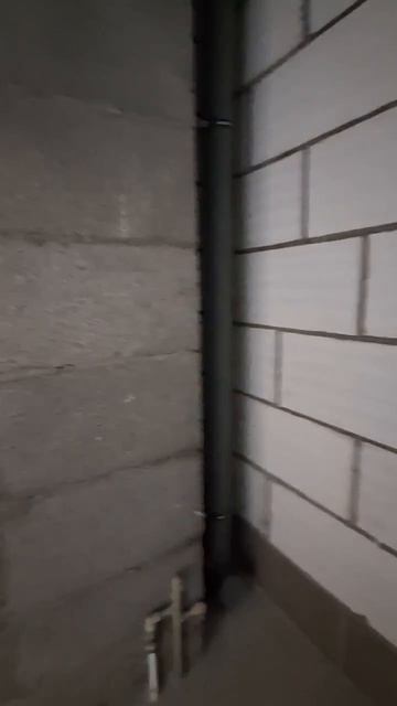 17288172866204