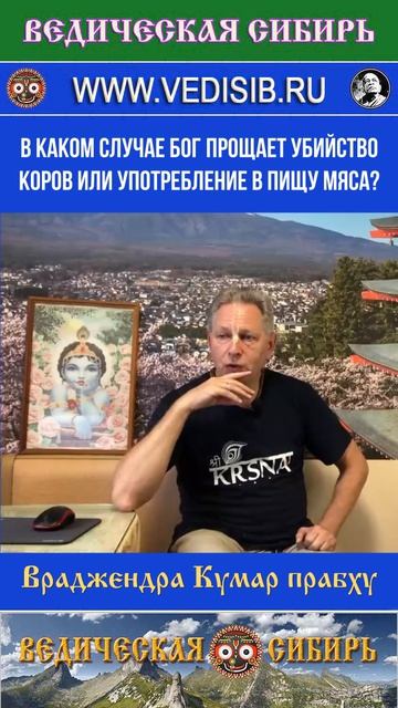 В каком случае Бог прощает убийство Коров или употребление в пищу мяса?
