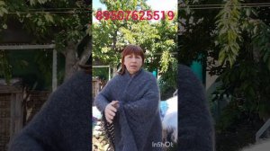 100526 Пуховые платки ,косынки, шарфы,кофточки,жилетки,ирландское кружево