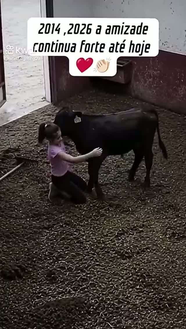 Приятно смотреть.