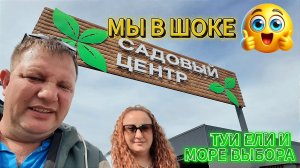 🌴 Ели, Туи и Море Выбора 🏡Поход в Садовый центр Каневской📍Саликовы🌴Переезд на Юг📲8924 540 49 92