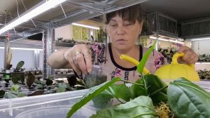 Моя Жизнь в Деревне😍, Об Этом Ещё Нерасказывала, Как проходит мой день ☀