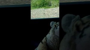 уходим из Геленджика