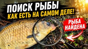 ПОИСК РЫБЫ КАК ЕСТЬ НА САМОМ ДЕЛЕ! 5 ПУСТЫХ ВЫЕЗДОВ И ТОЛЬКО ПОТОМ КРУПНЫЙ КАРАСЬ!