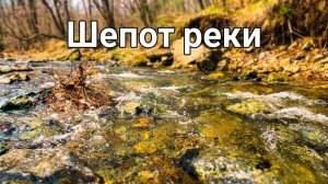Река Каменка 1-я. Мой город, наша природа
