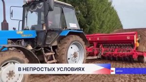 Итоги весенне-полевых работ в Нижегородской области обсудили на заседании профильного комитета ЗСНО