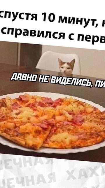 Поздравляю с Днём рождения шариковой ручки! смотреть онлайн