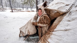 Жизнь в чуме: как устроен настоящий быт ненцев