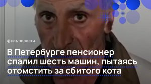 В Петербурге пенсионер спалил шесть машин, пытаясь отомстить за сбитого кота