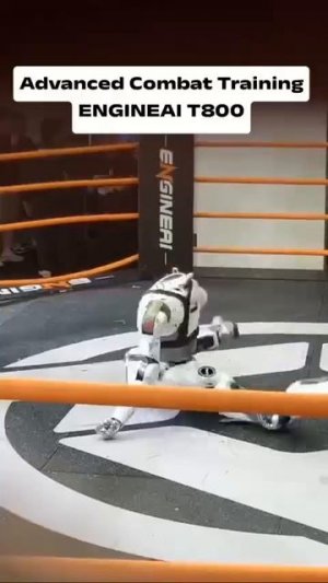 Робот дрался даже после того, как ему оторвало голову 😳😰