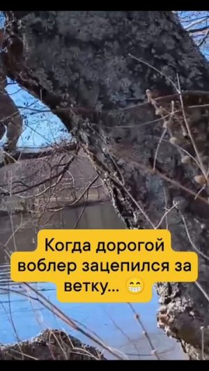 Спасение воблера
