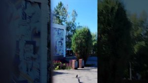 Россия 1 прямая тронсляция