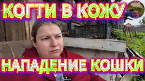 Пушистый демон: история о том, как моя кошка стала монстром!