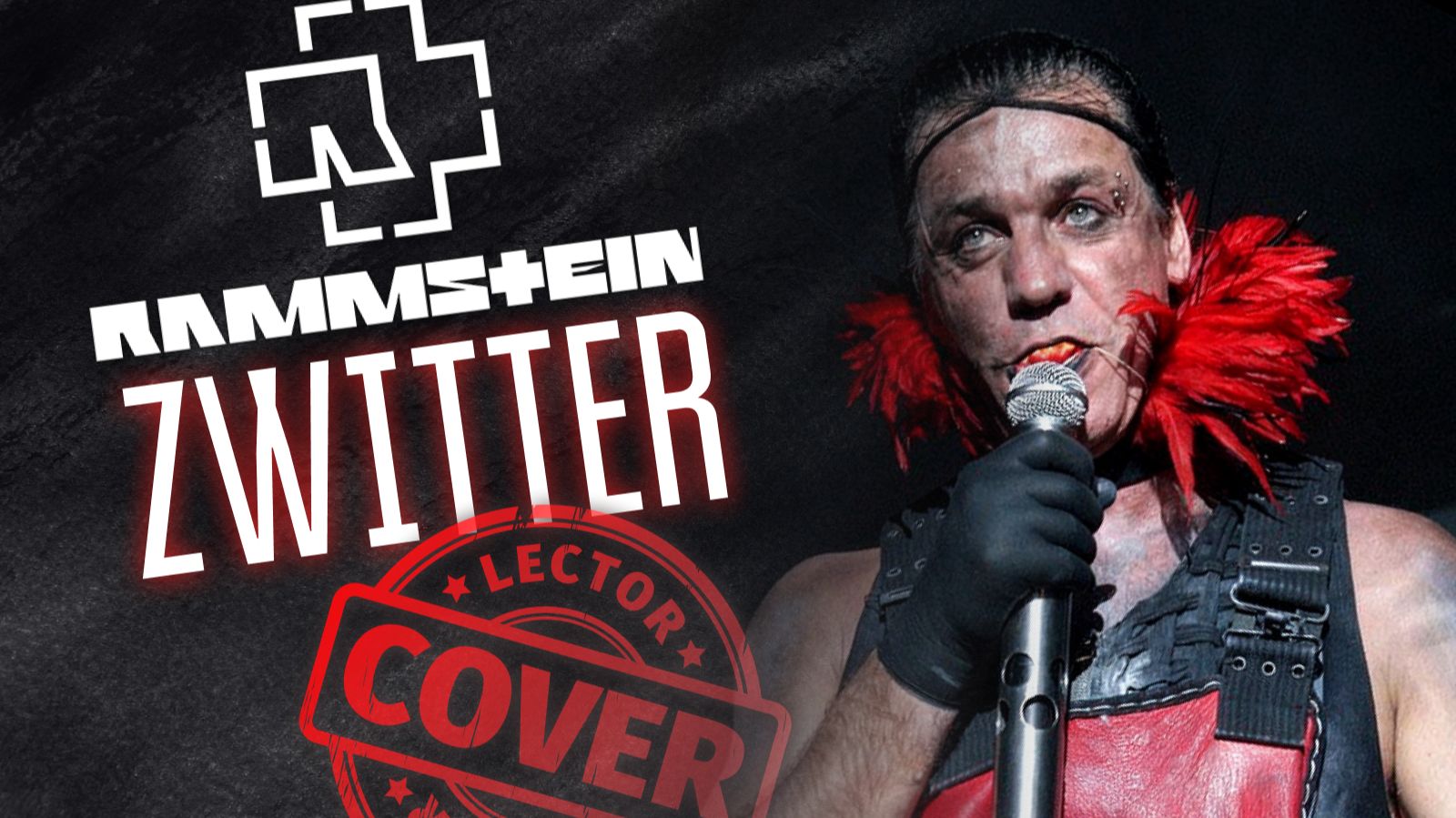 Rammstein - Zwitter (Guitar Cover + Tabs)