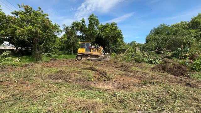 OMG!! NEW Incredible SHANTUI_ Dozer Pushing grass and piles of rocks and large trees into Deep Pond- смотреть онлайн