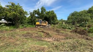 OMG!! NEW Incredible SHANTUI_ Dozer Pushing grass and piles of rocks and large trees into Deep Pond-