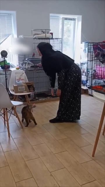 А давайте про любовь!)