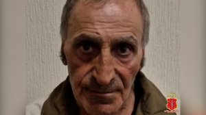 В Петербурге пенсионер сжег шесть машин, пытаясь отомстить за сбитого кота.