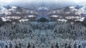 68min Journey Set   Breathwork Advance Level   'Resonance Rising'  by Liquid Bloom (dj set)