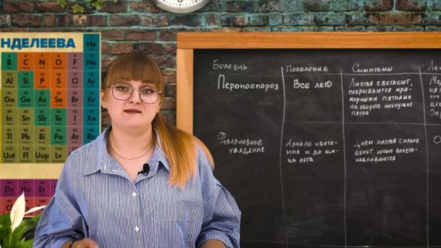 Жёлтые листья на огурцах. Болезни огурцов.
