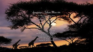 djonetwogo - Saltare Misce 014