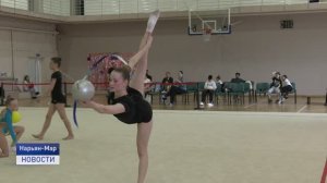 ТУРНИР ПО ХУДОЖЕСТВЕННОЙ ГИМНАСТИКЕ