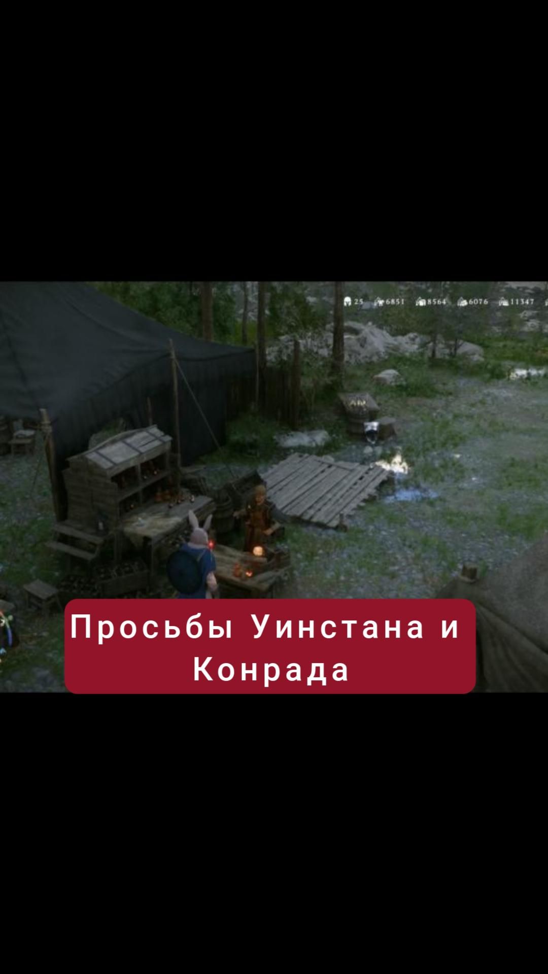 Просьбы Уинстана и Конрада | #crimsondesert #games #rpg