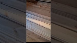 1000061386.mp4 (Собака смотрит на лайфхаки при укладке пола из фанеры на 2-ом этаже в доме А-фрейм)