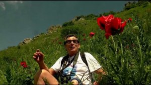 По майским отрогам горы Бештау.